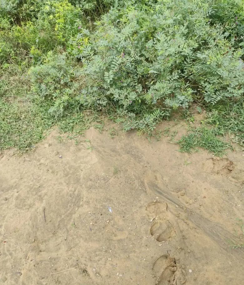 Residential Plot for Rent