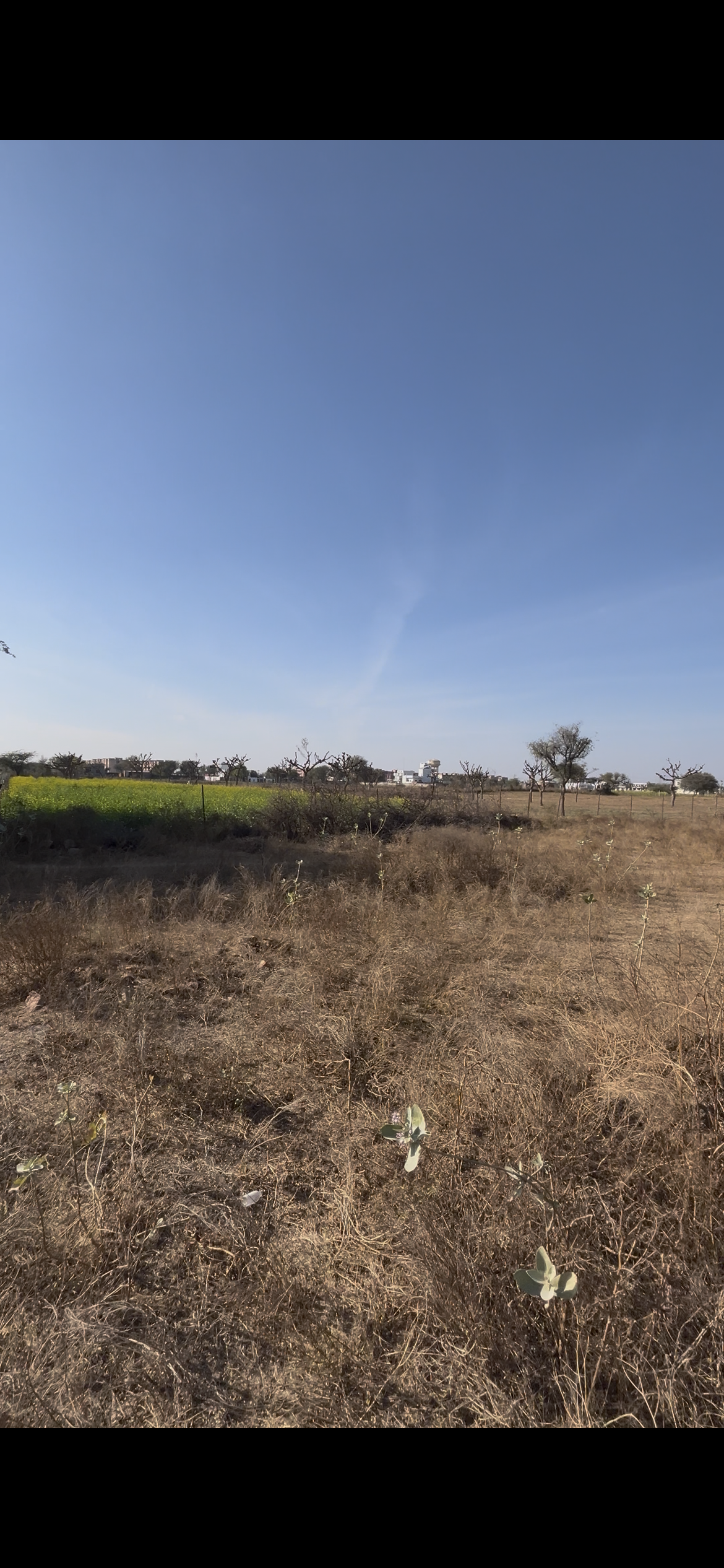 Agricultural Land for sell