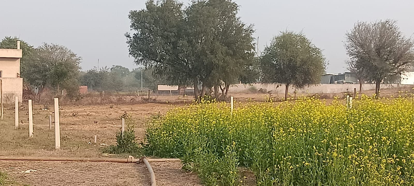 Residential Plot for sale