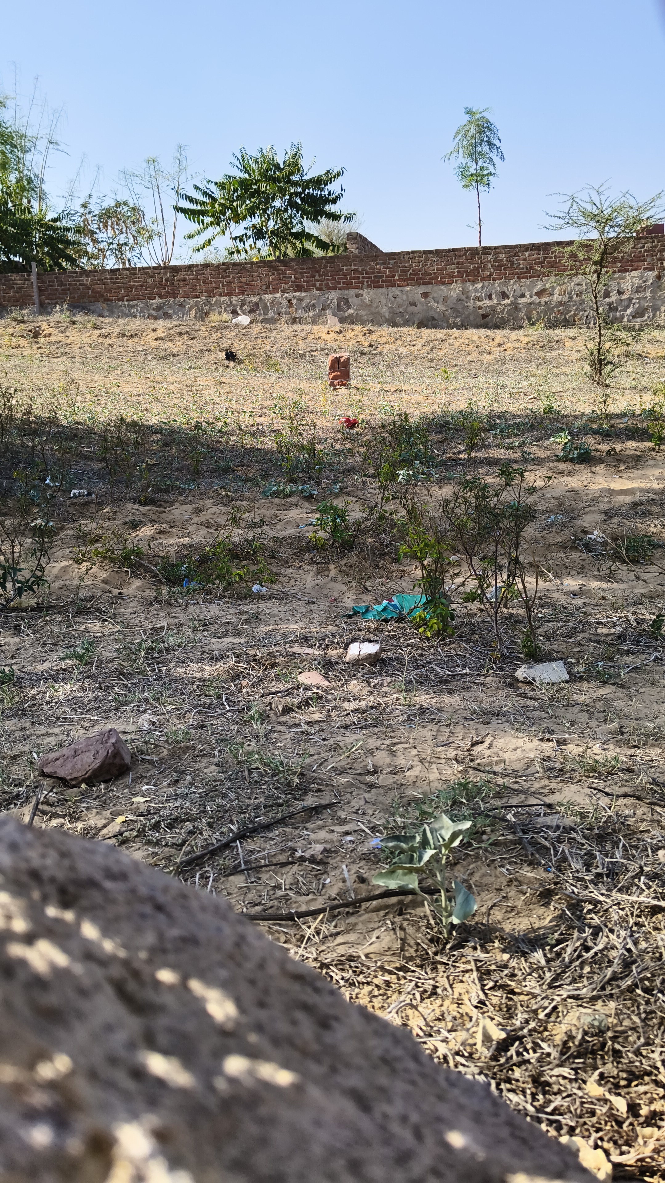Residential Plot for Sell 200 Gaj