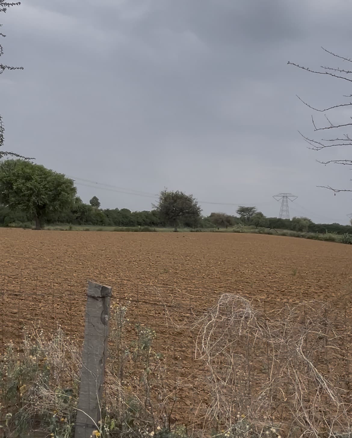 Agricultural Land for sale
