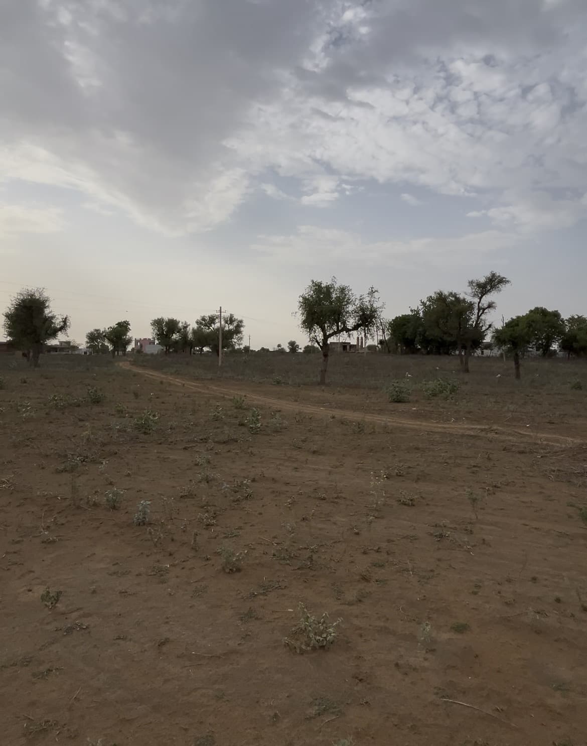 Agricultural Land for sale