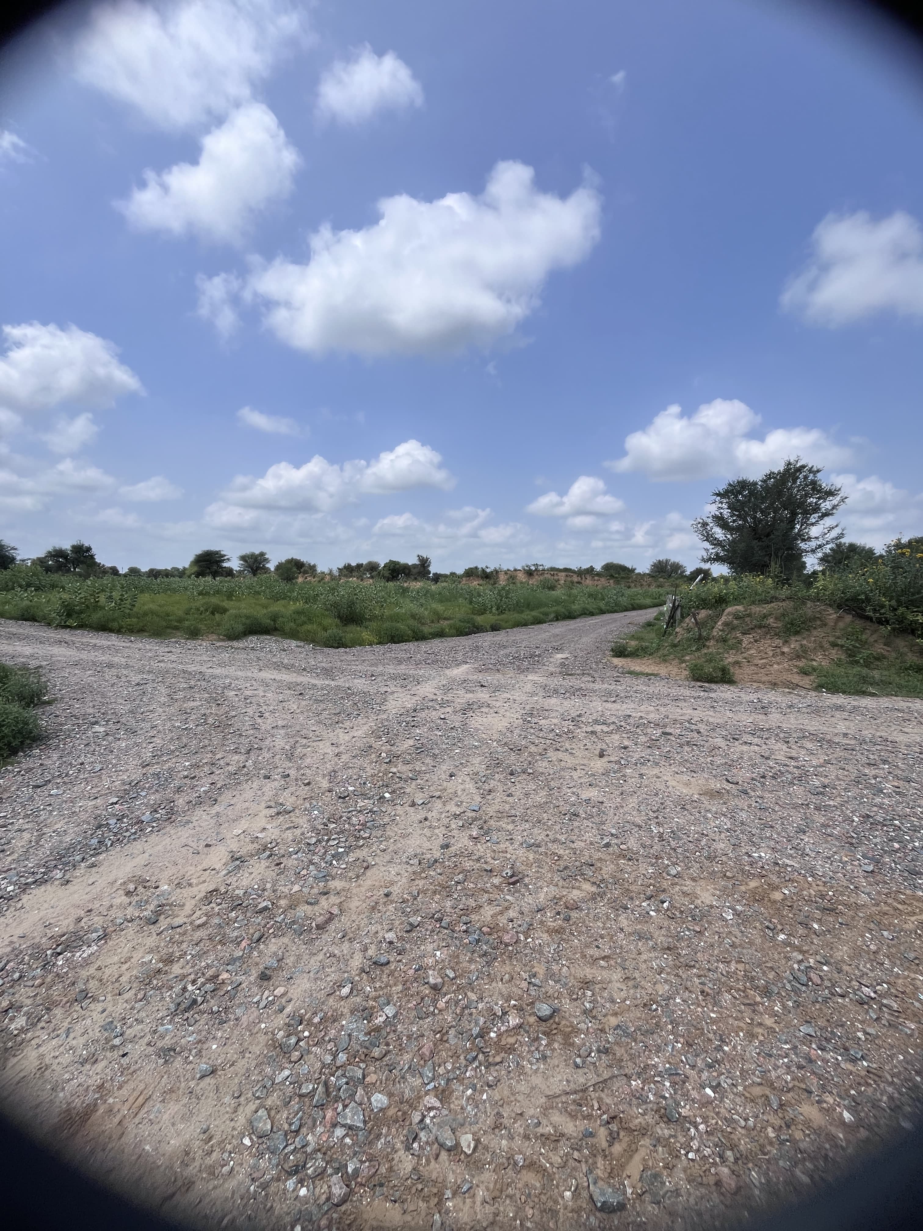 Agricultural Land for sale