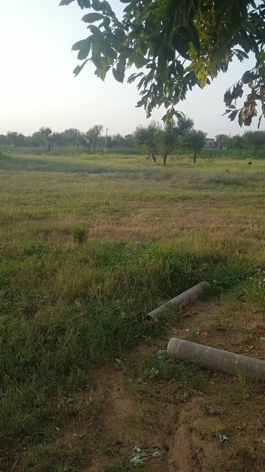  Agricultural Land for rent